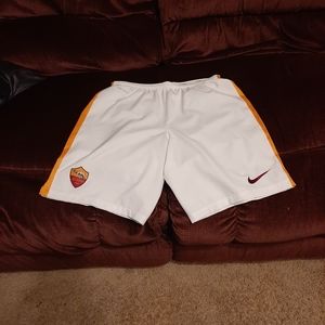 Nike Dri-Fit Roma Shorts